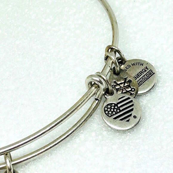 Alex And Ani Charity By Design Gorilla Charm Silver Tone Bracelet Ellen Fund NWT - Picture 2 of 5